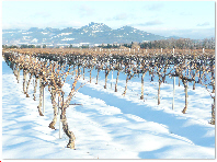 Hiver