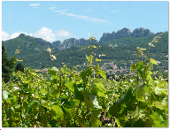 Eté
